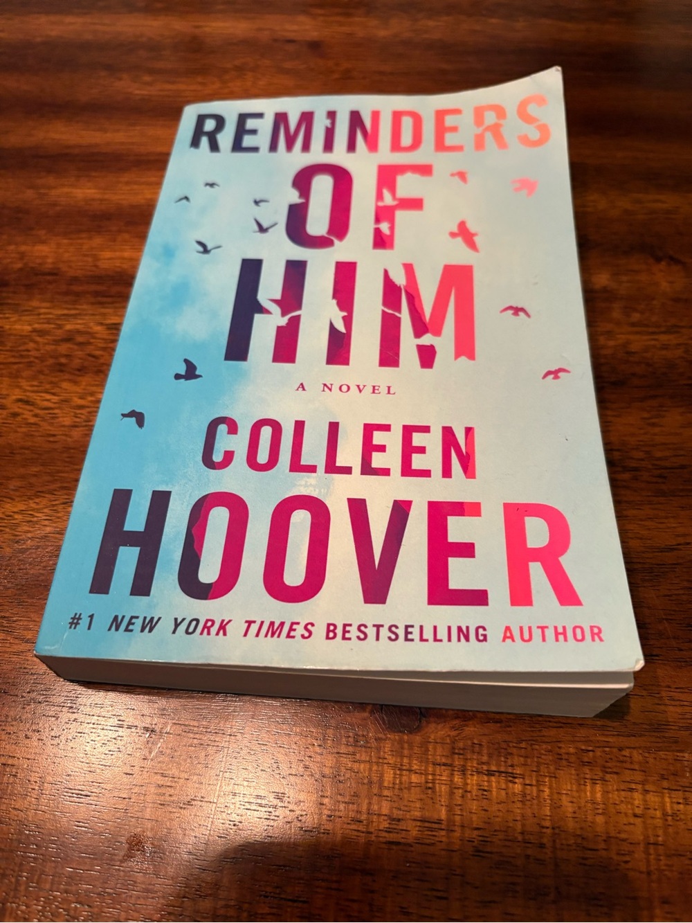 Reminders of Him by Colleen Hoover — Light Blue and Pink Paperback Novel